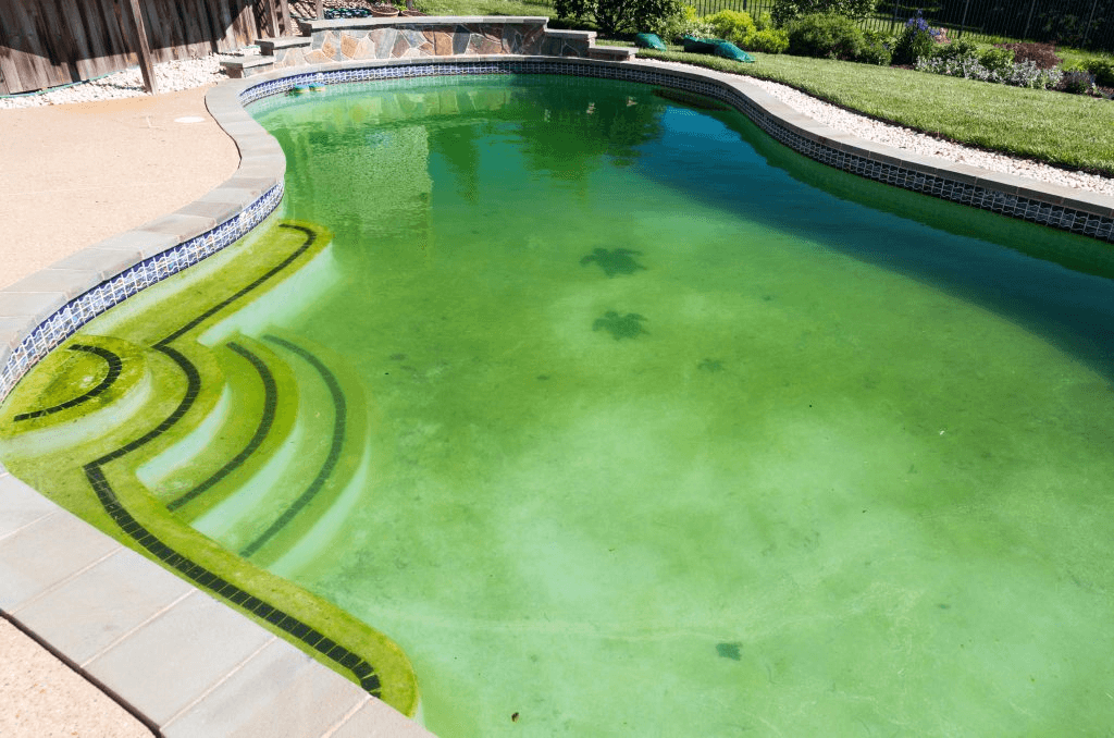 how to clear cloudy pool water fast