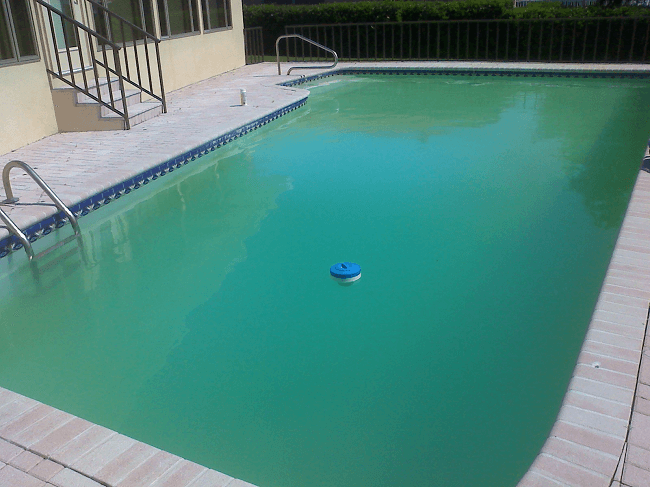 How to Clear Cloudy Pool Water: The Best Tools