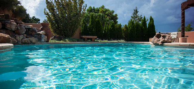 pool clarifier -